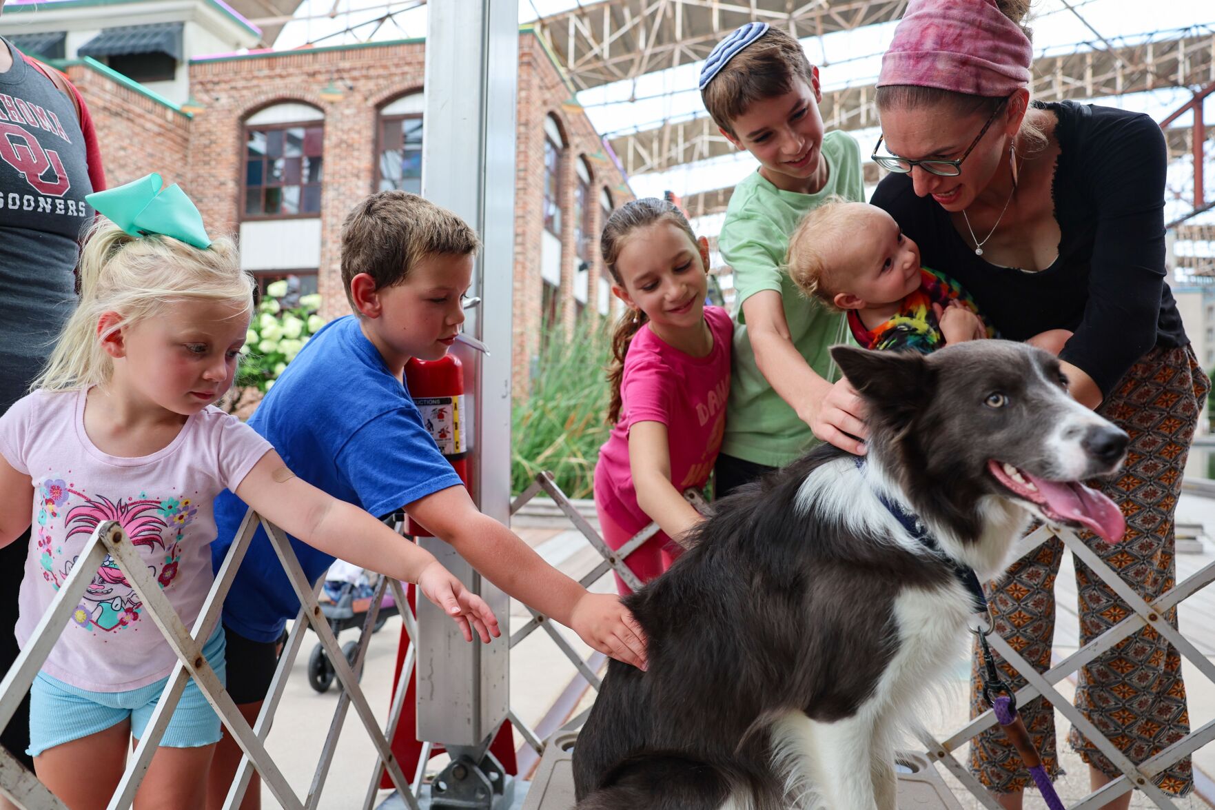Purina dogs showcase skills at Union Station